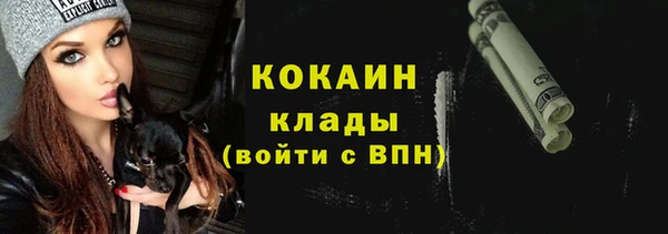 Альфа ПВП Горняк