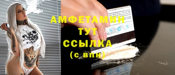 Альфа ПВП Горняк