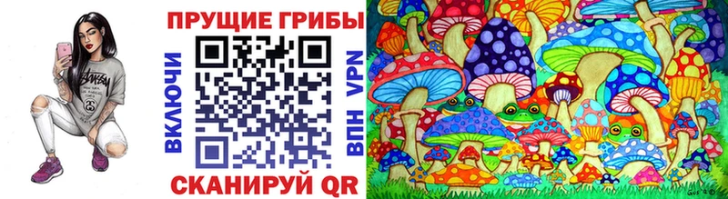 Псилоцибиновые грибы GOLDEN TEACHER Канск