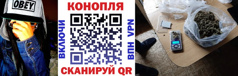Конопля сатива Канск